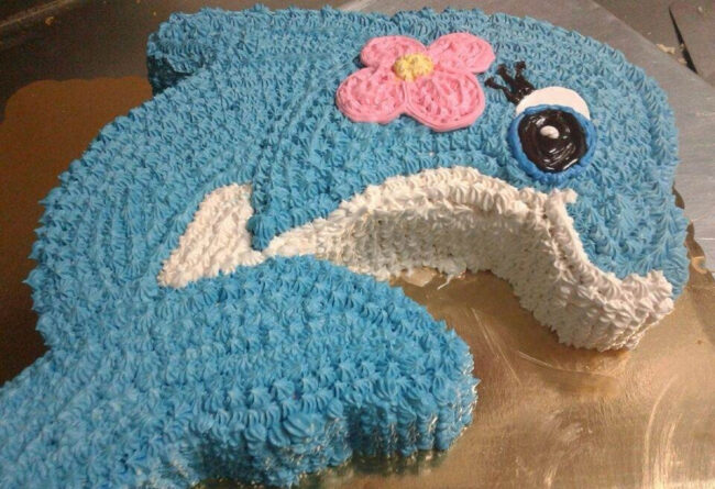 MiaRanchito_DolphinCake.jpg