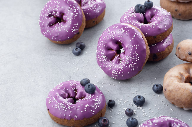 Dawn_DonutBlueberry.jpg