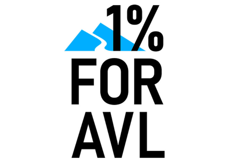 AVL_logo.jpg