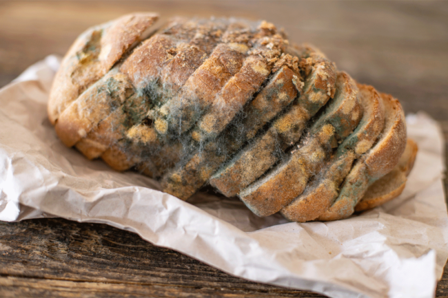 Loaf of bread with mold. 